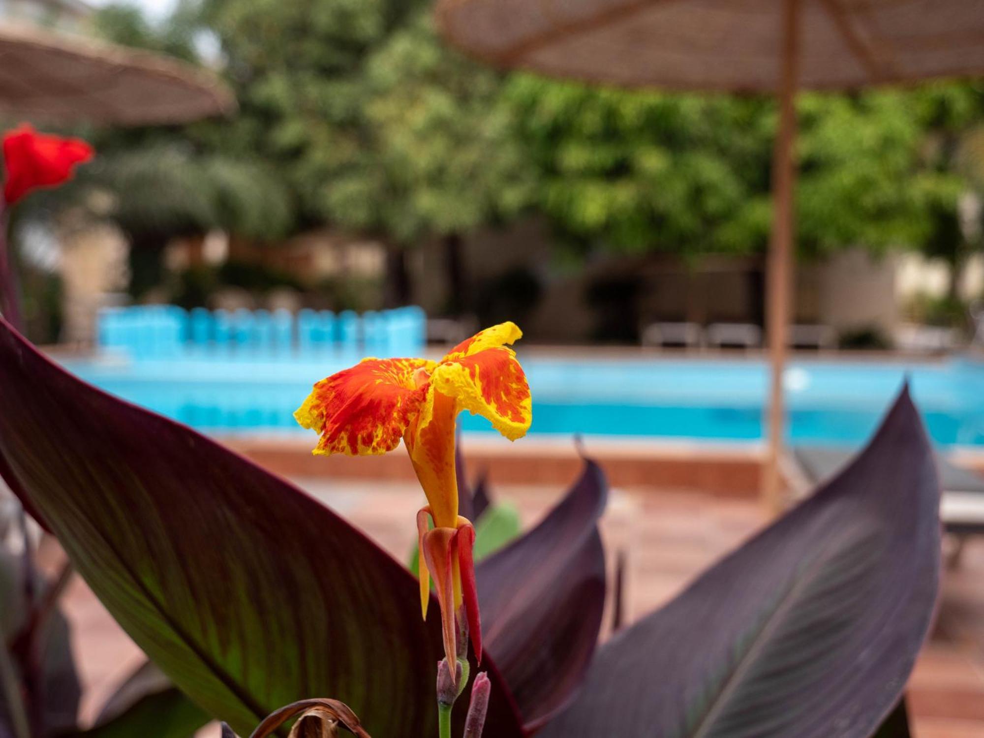 Cape Point Hotel Bakau Екстер'єр фото